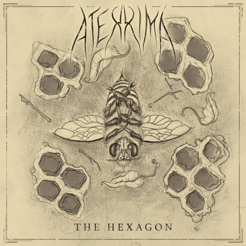 Aterrima : The Hexagon
